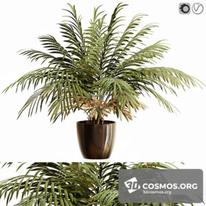 Plants- Indoor-3821158.61a7096686e8e