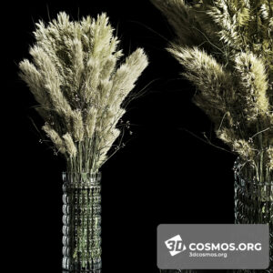 Plants- Indoor-3830093.61acbcec2d35b