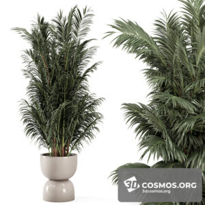 Plants- Indoor-3831968.61addbb023e4f