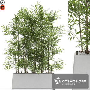 Plants- Indoor-3840020.61b2186e8546f