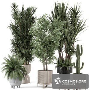 Plants- Indoor-3844285.61b4aca88f3eb