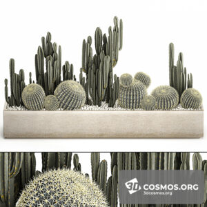 Plants- Indoor-3908606.61ded51493f75