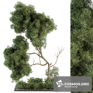 Plants- Indoor-3920810.61e614c14e876