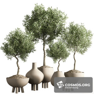 Plants- Indoor-3930193.61eb120c25416