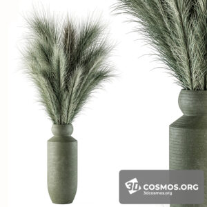 Plants- Indoor-3934721.61ee02277e228