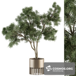 Plants- Indoor-3942086.61f20d6eece22