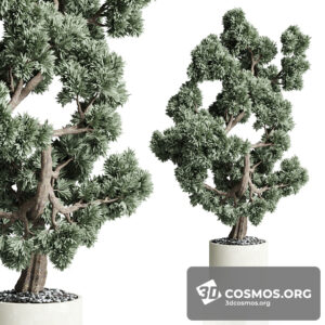 Plants- Indoor-3967256.62000a289bbaf