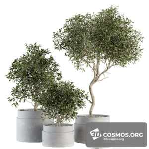 Plants- Indoor-3976306.62047e78dc342