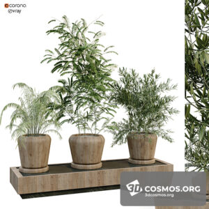 Plants- Indoor-3990709.620c12d61a9fe