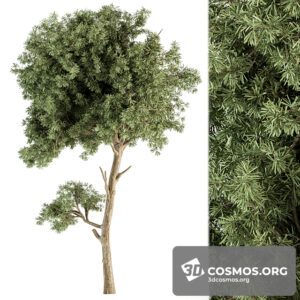 Plants- Indoor-3991044.620c43c1470da