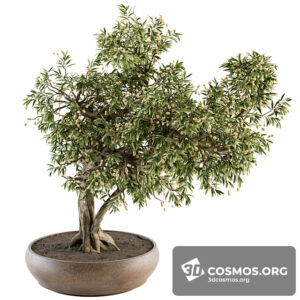 Plants- Indoor-3993983.620dba8527cbc