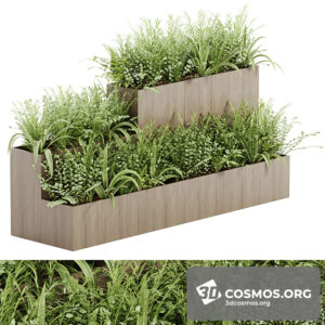 Plants- Indoor-4001460.62117d4cab8b9