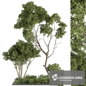 Plants- Indoor-4003940.6212ded4cd4b4