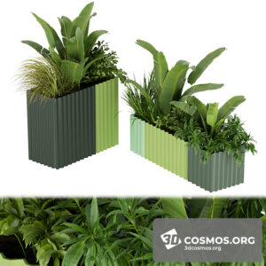 Plants- Indoor-4012962.6217933a7924c