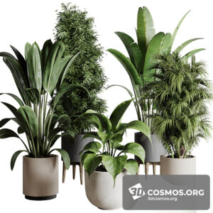 Plants- Indoor-4019572.621bac00833d5