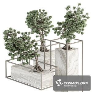 Plants- Indoor-4044398.622ab82769686