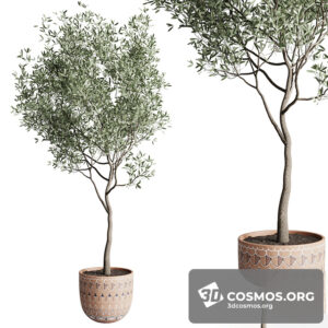 Plants- Indoor-4050126.622e476c399da