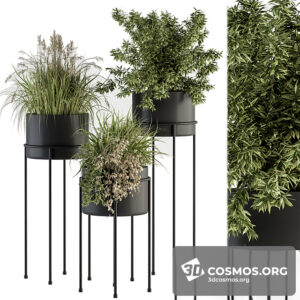 Plants- Indoor-4055515.62315404d29e5