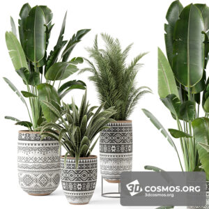 Plants- Indoor-4118800.62544b8d37556
