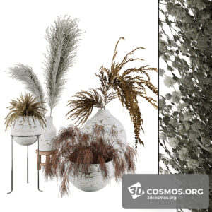 Plants- Indoor-4131774.625be281a0dca