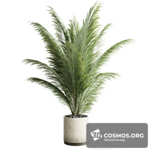 Plants- Indoor-4148511.62645f929eba5