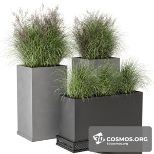 Plants- Indoor-4148728.6264ddb67398c