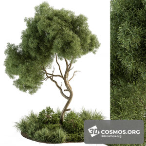 Plants- Indoor-4153169.626753c524e37