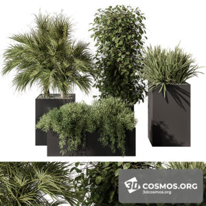 Plants- Indoor-4181710.6279c5363ce77