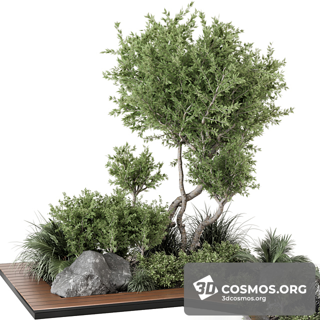 Cây cốis- Indoor-4253906.62a5ee67c9343