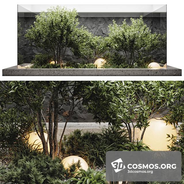 Cây cốis- Indoor-4407127.62f66d5ec959d