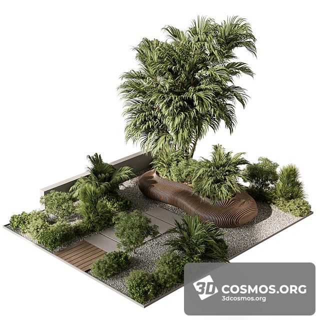 Cây cốis- Indoor-4567480.63460ee4aca47