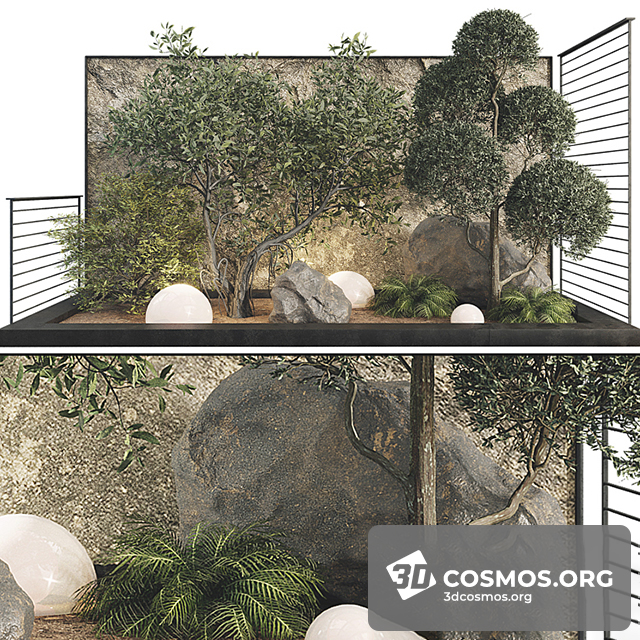 Cây cốis- Indoor-4724211.6395e777e28ac