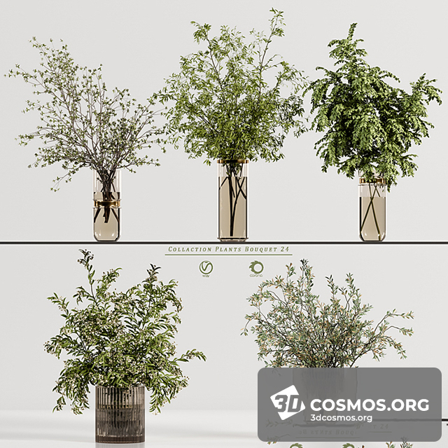 Cây cốis- Indoor-4764345.63a829e04f031