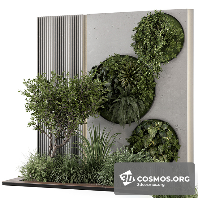 Cây cốis- Indoor-4873172.63da2678930ac