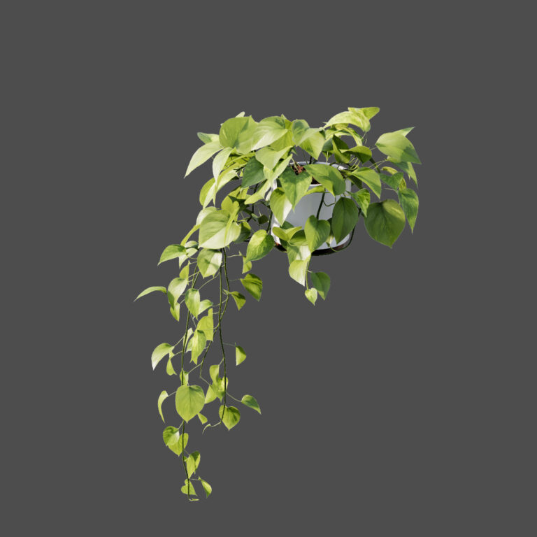 Enscape Custom Asset Library – Cosmos of Enscape Asset