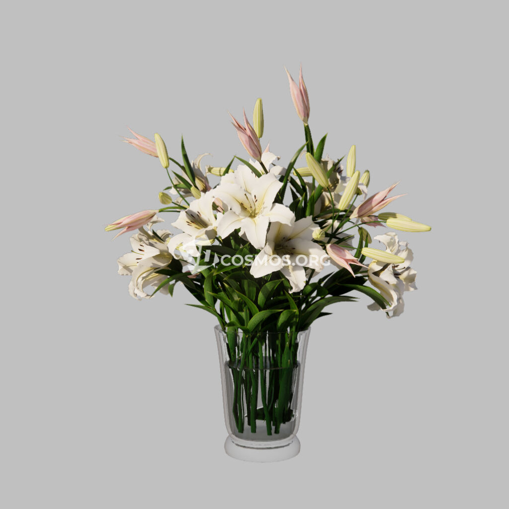 AD0501 Enscape Asset Bouquet