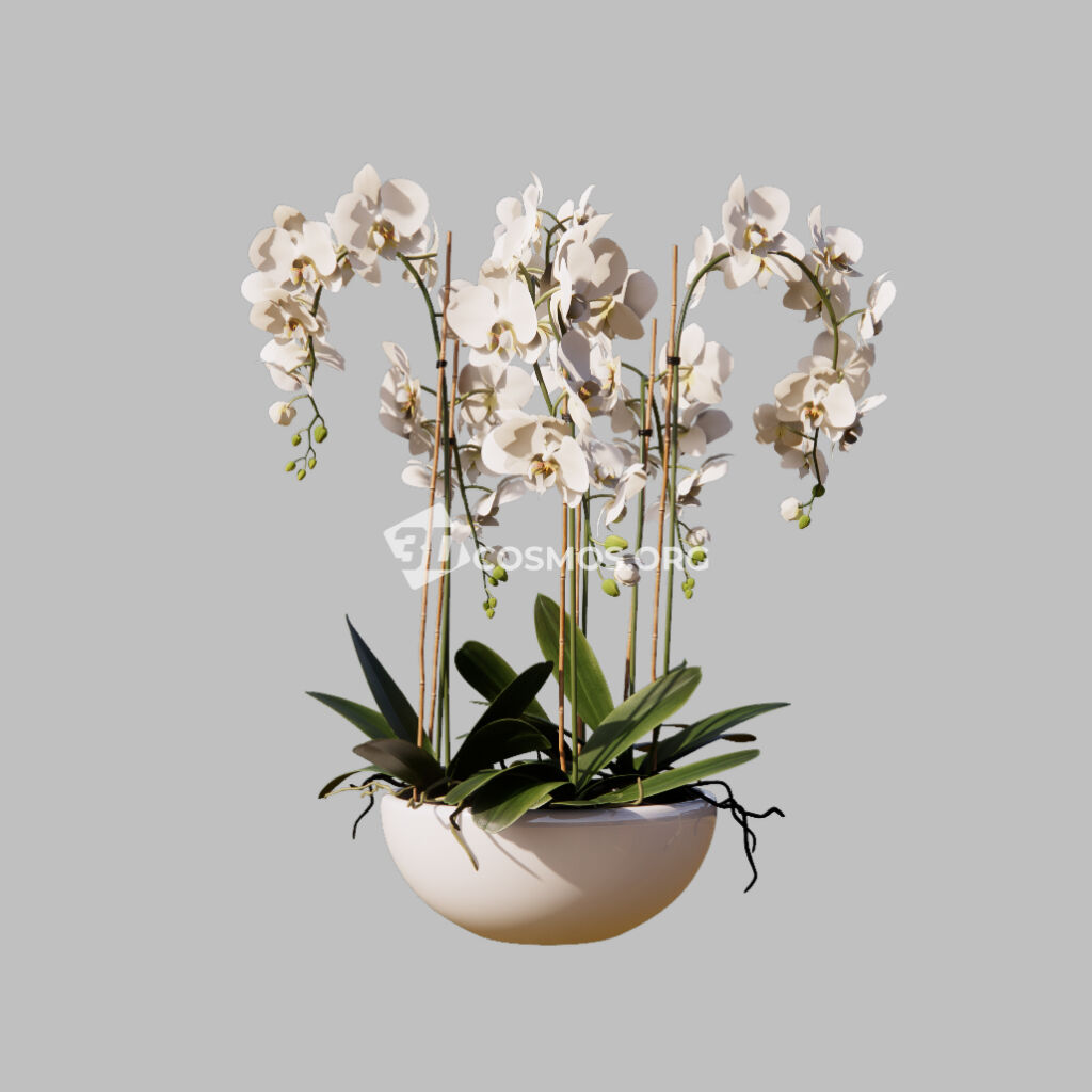 AD0525 01 Enscape Asset Bouquet