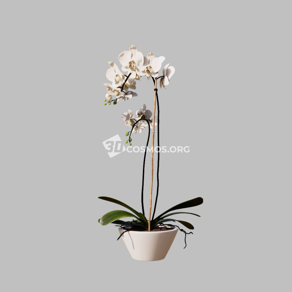 AD0525 02 Enscape Asset Bouquet