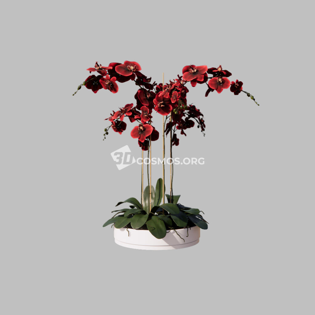 AD0526  Enscape Asset Bouquet