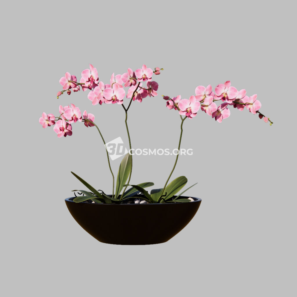 AD0528 01 Enscape Asset Bouquet