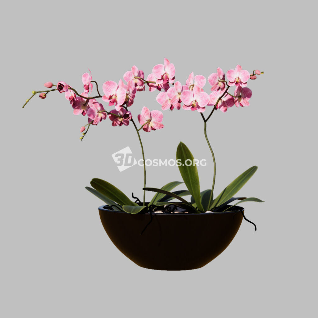 AD0528 02 Enscape Asset Bouquet