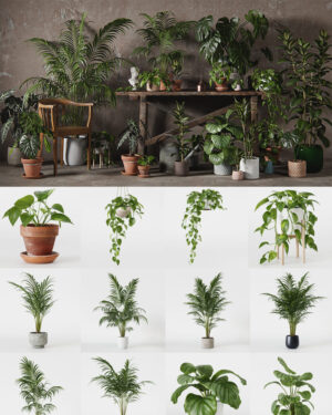 Enscape Asset Plant -  Vol 901