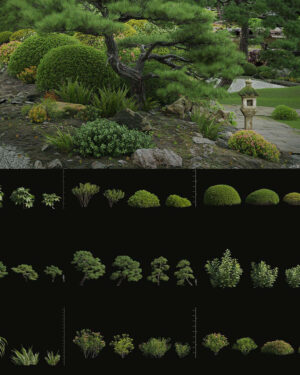 Enscape Asset Plant -  Vol 168