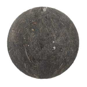 dirt_with_pine_needles_render