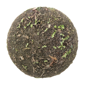 dirt_with_plants_and_sticks_render