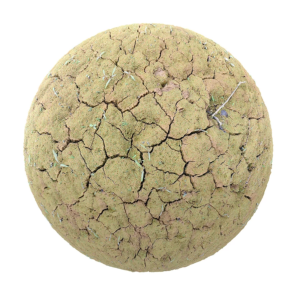 dry_cracked_dirt_16_render