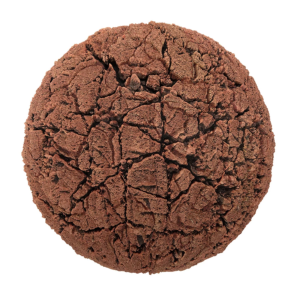 dry_cracked_dirt_18_render