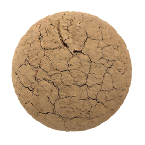 dry_cracked_dirt_6_render