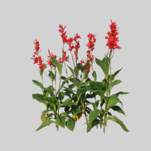 Enscape_Asset_3314_1