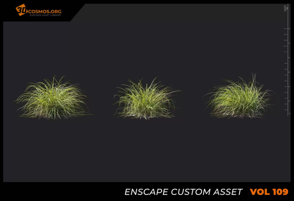 MT-PM-V109-Carex-elata-01-04-06